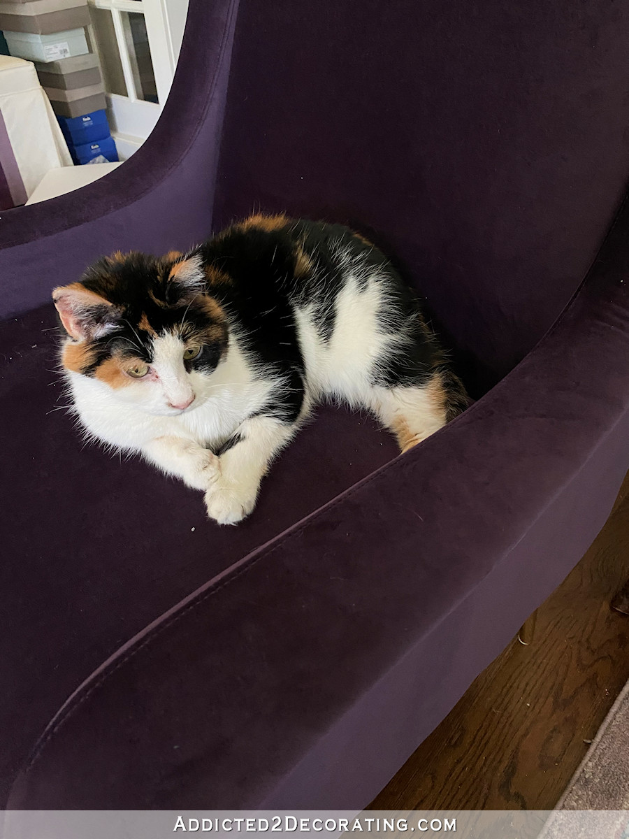 Guest Bedroom Progress (Plus A Sneak Peek At My Purple Chair)